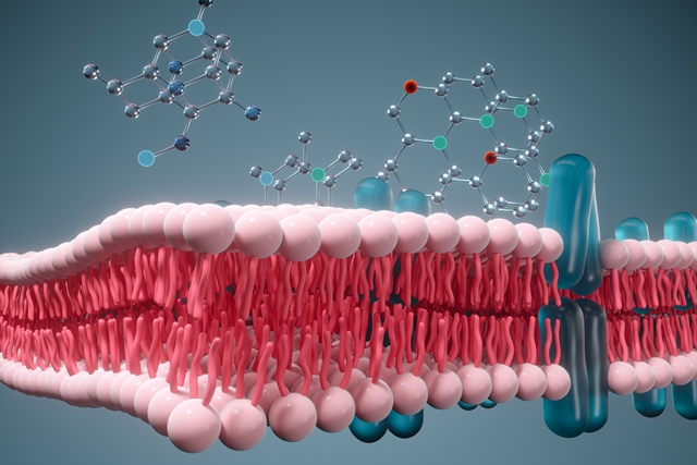 CellSpectrometer - Messung der Gewebeintegrität und -durchlässigkeit