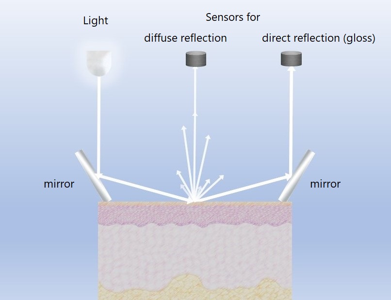 Glossymeter principle e