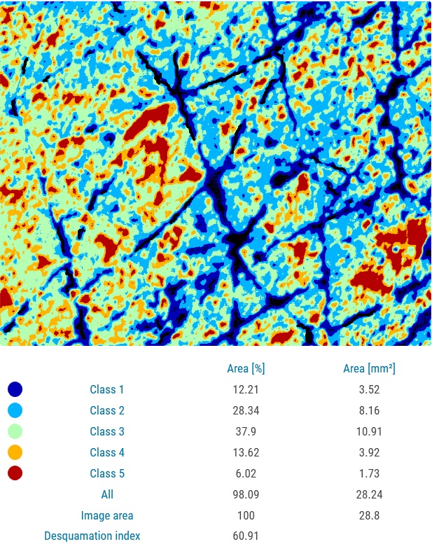 Corneofix results dry