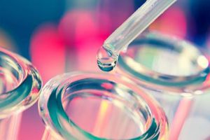 Efficacy Tests in vitro