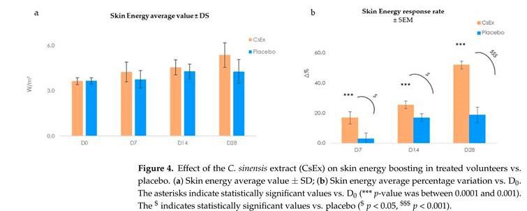 local skin energy balance measured with the Tewameter TM Hex